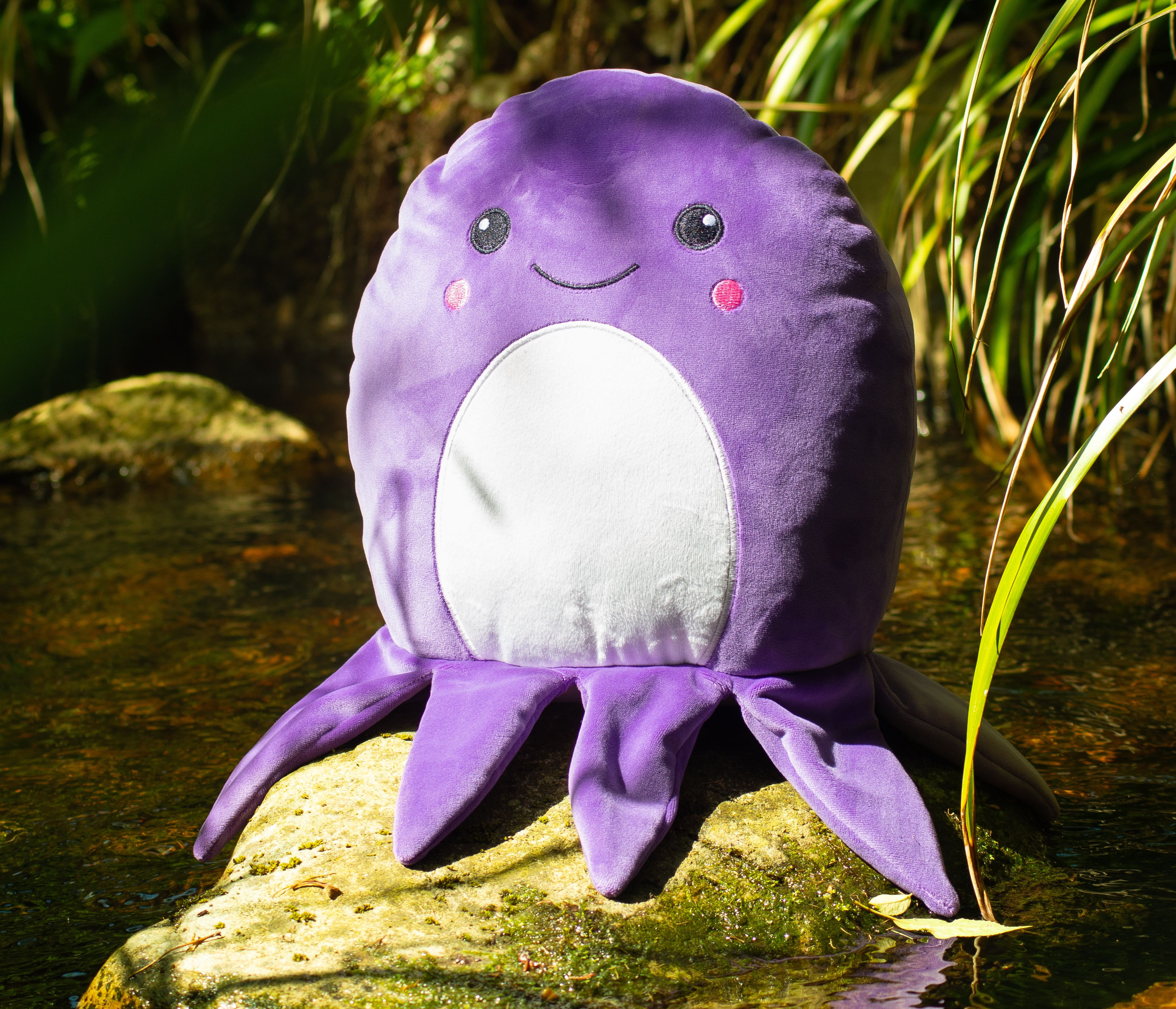 SQUIDGY OCTOPUS